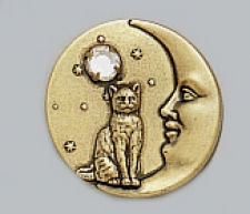 vintage look victorian style cat pin